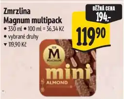 Albert Zmrzlina Magnum multipack nabídka