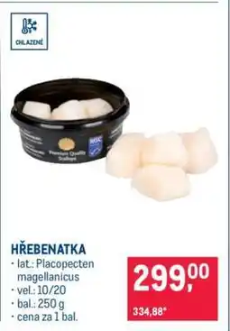 Makro Hřebenatka nabídka