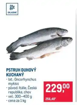 Makro Pstruh duhový kuchaný nabídka