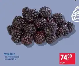 Makro Ostružiny nabídka