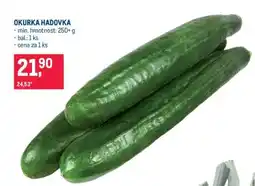 Makro Okurka hadovka nabídka