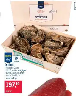 Makro Ústřice nabídka