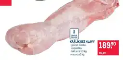 Makro Králík bez hlavy nabídka