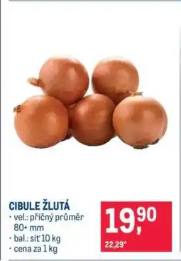 Makro Cibule žlutá nabídka