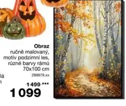 Sconto Obraz nabídka