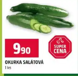 Terno OKURKA SALÁTOVÁ nabídka