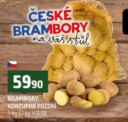 Terno Brambory konzumní pozdní nabídka