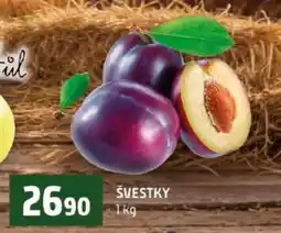 Terno Švestky nabídka