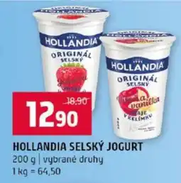 Terno Hollandia Selský jogurt nabídka