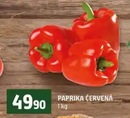 Terno Paprika červená nabídka