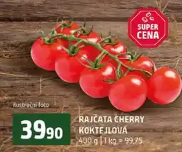 Terno RAJČATA CHERRY KOKTEJLOVÁ nabídka