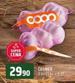 Terno ČESNEK nabídka