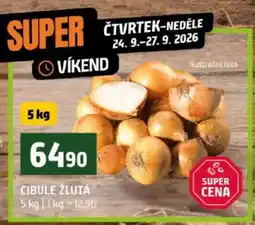 Terno Cibule žlutá nabídka