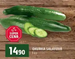 Terno OKURKA SALÁTOVÁ nabídka
