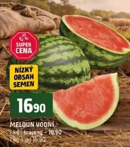 Terno MELOUN VODNÍ nabídka