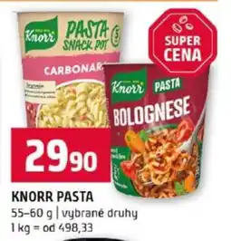 Terno KNORR PASTA nabídka