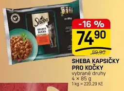 Flop Sheba kapsičky pro kočky nabídka