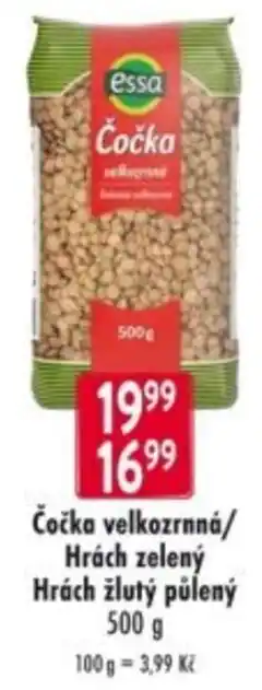 Essa čočka velkozrnná