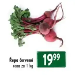 Qanto Řepa červená nabídka