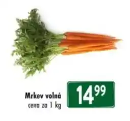 Qanto Mrkev volná nabídka