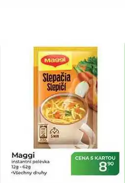 Tamda Foods Maggi instantní polévka 12g-62 g nabídka