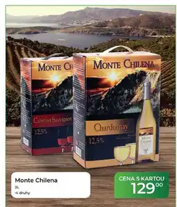 Tamda Foods Monte Chilena nabídka