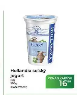 Tamda Foods Hollandia selský jogurt bily nabídka