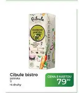 Tamda Foods Cibule bistro polévka nabídka
