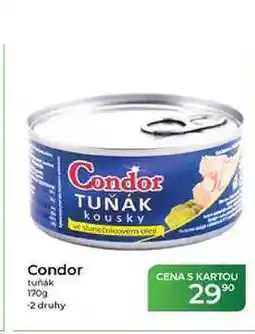 Tamda Foods Condor tuňák nabídka