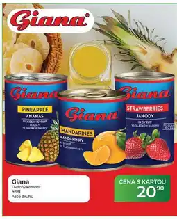 Tamda Foods Giana Ovocný kompot nabídka