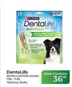 Tamda Foods DentaLife dentalni pamlsky pro psy 115g-142g nabídka