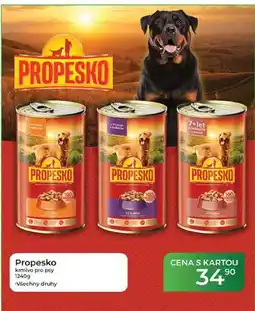 Tamda Foods Propesko krmivo pro psy nabídka