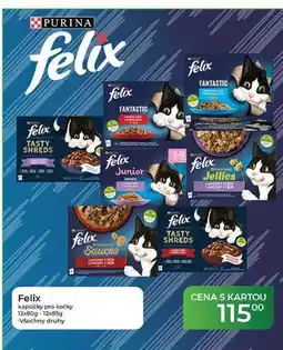 Tamda Foods Felix kapsičky pro kočky 12x80g - 12x85g nabídka