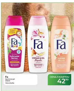 Tamda Foods Fa Sprchový gel nabídka