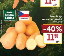 Billa Brambory konzumní pozdní volné nabídka