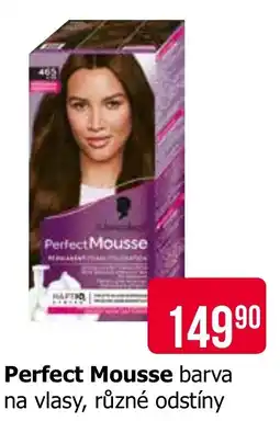 Teta Schwarzkopf Perfect Mousse nabídka