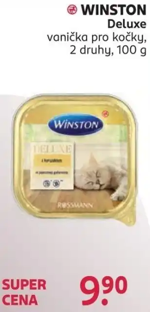 Winston deluxe vanička pro kočky