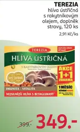 Rossmann Terezia hlíva ústřičná nabídka