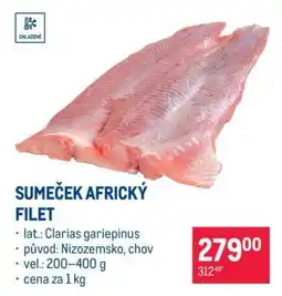 Makro Sumeček africký filet nabídka