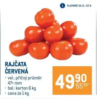Rajčata červená