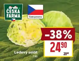 Billa Ledový salát nabídka