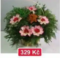 Konzum Květinový kytice nabídka