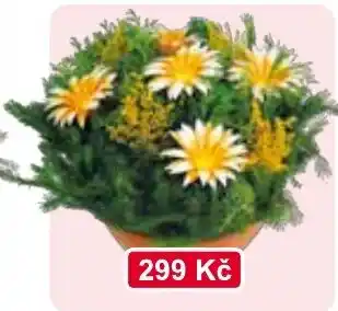Květinový kytice