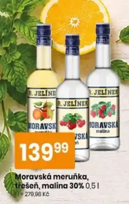 TEMPO R. Jelínek moravská meruňka, třešeň, malina nabídka