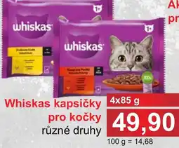 PLUS JIP Whiskas kapsičky pro kočky nabídka
