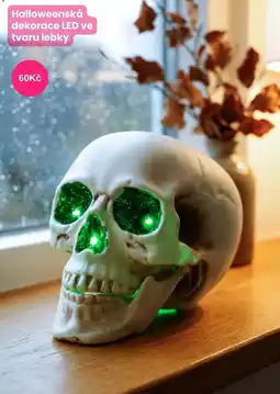 Pepco Halloweenská dekorace LED ve tvaru lebky nabídka