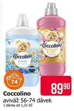 Teta Coccolino nabídka