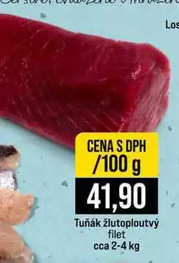 Jip Tuňák žlutoploutvý filet cca 2-4 kg 100g nabídka