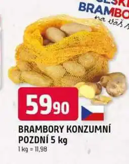 Trefa BRAMBORY KONZUMNÍ POZDNÍ nabídka