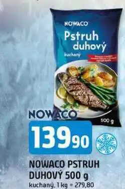 Trefa NOWACO PSTRUH DUHOVY nabídka